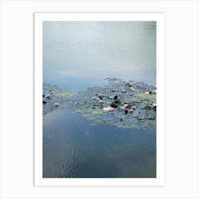 Water lilies and pale blue reflection 2 Art Print