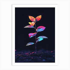 Plant In The Dark 13 Art Print