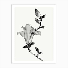 Hokusai Magnolia Flower Art Print