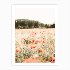 Poppy Meadow Art Print