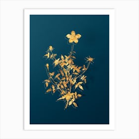 Vintage Single Dwarf Chinese Rose Botanical in Gold on Teal Blue n.0173 Art Print