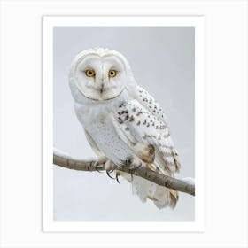 Snowy Owl Art Print