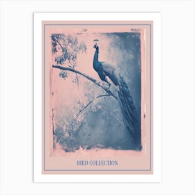 Peacock In The Tree Cyanotype Inspired 3 Poster Art Print