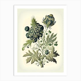 Skullcap Herb Vintage Botanical Art Print