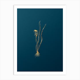 Vintage Ornithogalum Spathaceum Botanical in Gold on Teal Blue Art Print