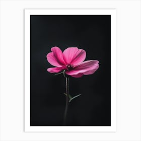 Single Pink Flower 7 Art Print