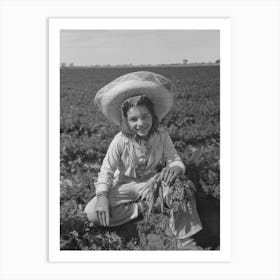 Agricultural Worker In The Carrot Field, Yuma County, Arizona By Russell Lee Art Print