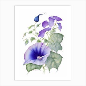 Morning Glory Floral Quentin Blake Inspired Illustration 3 Flower Art Print