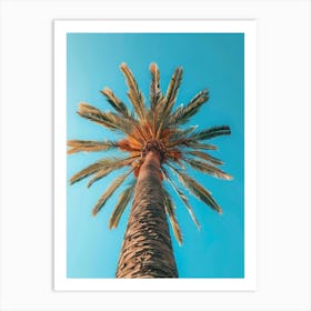 Palm Tree Against Blue Sky Art Print