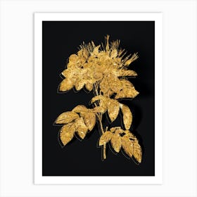 Vintage Pasture Rose Botanical in Gold on Black n.0620 Art Print