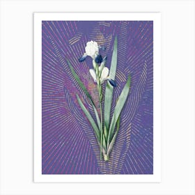 Vintage Tall Bearded Iris Botanical Illustration on Veri Peri n.0124 Art Print