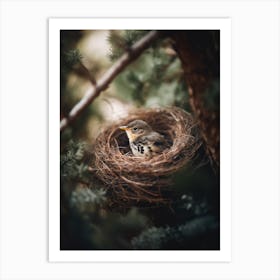 Alone In The Nest Art Print