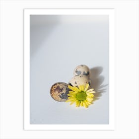 Quail Egg And Flower Art Print