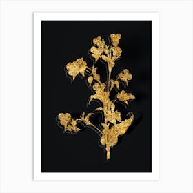 Vintage Commelina Tuberosa Botanical in Gold on Black n.0293 Art Print