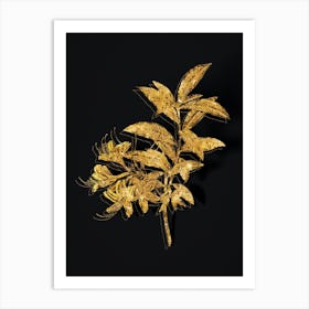 Vintage Yellow Azalea Botanical in Gold on Black n.0541 Art Print