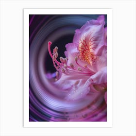 Pink Sensitivity Art Print