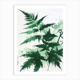 Green Ink Painting Of A Japanese Tassel Fern 3 Art Print