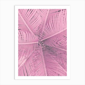 Palm Pastel Pink Art Print