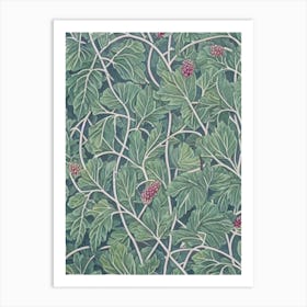 Mulberry tree Vintage 2 Botanical Art Print