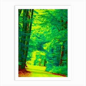 Road In The Woods in Summer Art Print