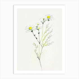 Feverfew Herb Minimalist Watercolour 2 Art Print