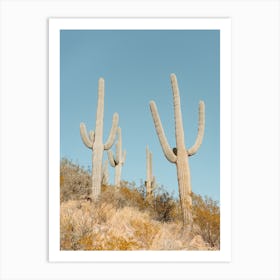 Saguaro Cactus Desert Arizona Southwest Landscape Nature Photography Art Print