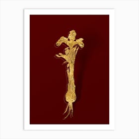 Vintage Iris Persica Botanical in Gold on Red n.0387 Art Print