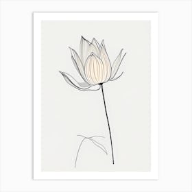 American Lotus Minimal Line Drawing 1 Art Print