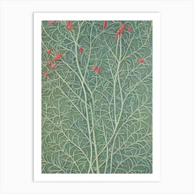 Staghorn Sumac 2 tree Vintage Botanical Art Print