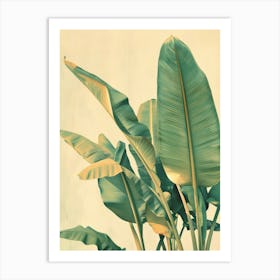 Banana Leaves 14 Art Print