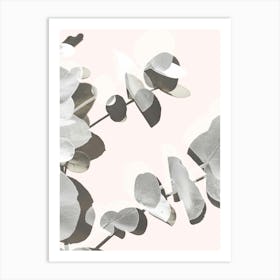 Eucalyptus Leaves 3_2061449 Art Print