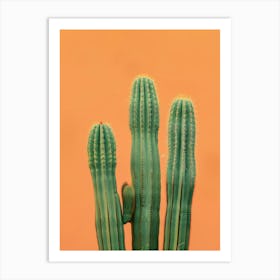 Cactus 8769 Art Print