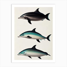 Bottlenose Dolphin Vintage Poster Art Print