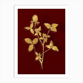 Vintage Pink Clover Botanical in Gold on Red n.0250 Art Print