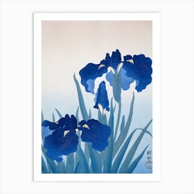 Iris Flowers, Ohara Koson Art Print