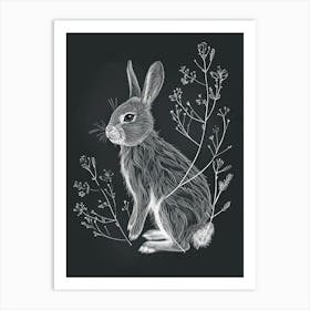 Chinchilla Rabbit Minimalist Illustration 1 Art Print