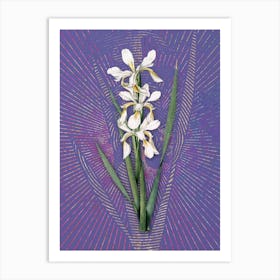 Vintage Yellow Banded Iris Botanical Illustration on Veri Peri n.0613 Art Print