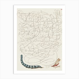 Caterpillar And Insect From Mira Calligraphiae Monumenta, Joris Hoefnagel Art Print