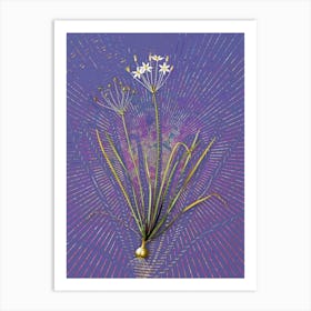Vintage Allium Straitum Botanical Illustration on Veri Peri n.0500 Art Print