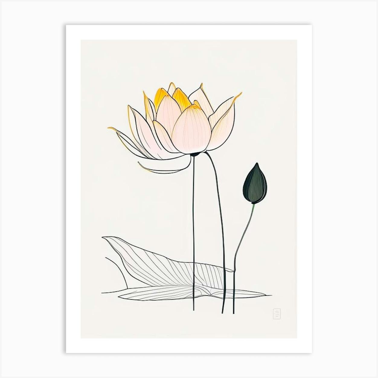 Lotus Flower Drawing - How To Draw A Lotus Flower Step By Step