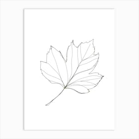 Maple Leaf 1 Art Print