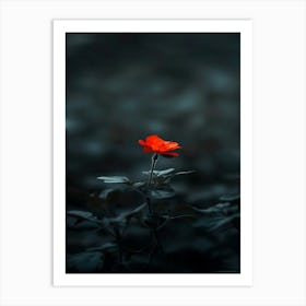 Dark Rose 177 Art Print