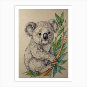 Koala 20 Art Print