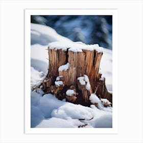 Tree Stump In Winter Art Print