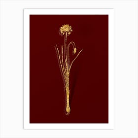 Vintage Autumn Onion Botanical in Gold on Red n.0182 Art Print