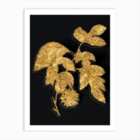 Vintage Paper Mulberry Flower Botanical in Gold on Black n.0375 Art Print