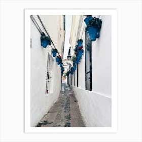 Narrow Alley With Blue Pots In Córdoba Art Print