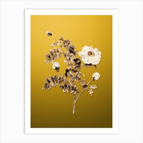 Gold Botanical White Burnet Roses on Mango Yellow n.1257 Art Print
