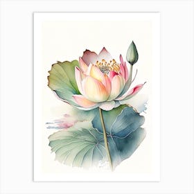 Lotus Flower In Garden Watercolour Ink Pencil 2 Art Print