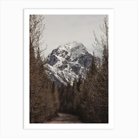 Colorado Forest Road Art Print